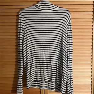 Aerie Striped Turtleneck